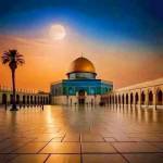 Afsar Molla profile picture