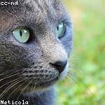 Ora Schiller Profile Picture